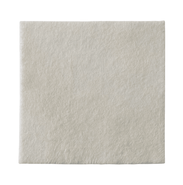 Biatain Alginate Ag