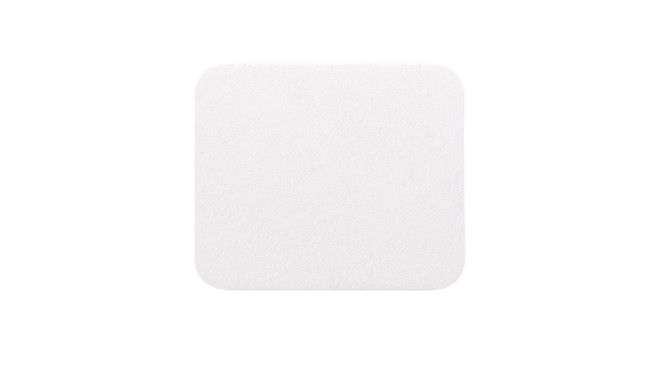 Molnlycke Mepilex Transfer