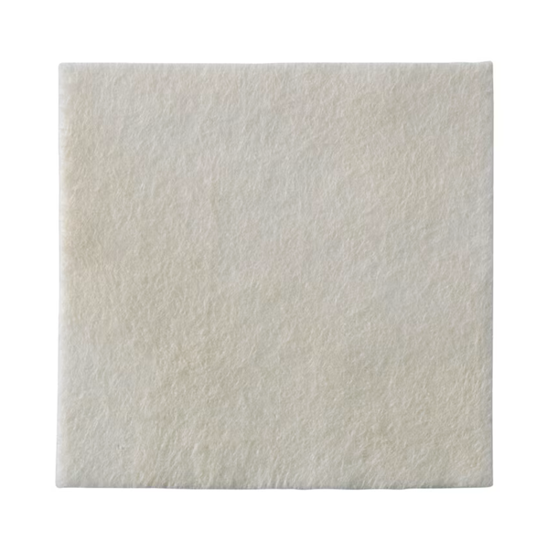 Biatain Alginate Ag