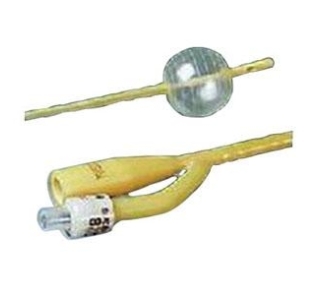 Image for Economy Lubricath 2-Way Foley Catheter
